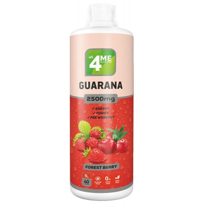 Энергетик 4ME Nutrition Guarana concentrate 2500 1000 мл
