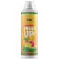 Изотоник Health Form Isotonic Fresh Up 500 мл