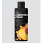 Л-карнитин Лайт Endorphin L-Carnitine liquid attack 500 мл
