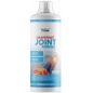 Хондропротектор Health Form Joint Formula 1000 мл