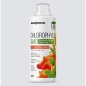 Антиоксидант ENDORPHIN Chlorophyll Bio 500 мл