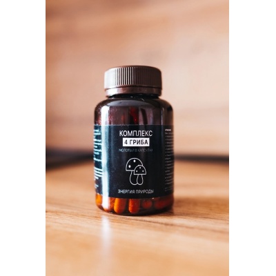 Специальный препарат Энергия Природы Комплекс 4 гриба 100 капсул