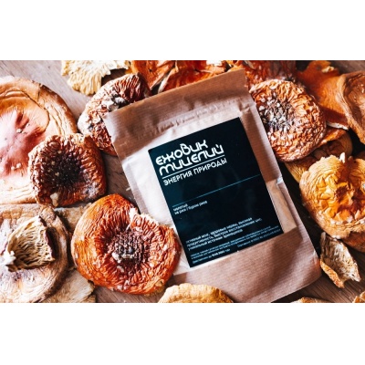 Специальный препарат Энергия Природы Ежовик Мицелий 100 гр