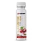 Л-карнитин Syntime Nutrition L-carnitine 100 мл