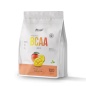 БЦАА FitRule BCAA Powder 500 гр