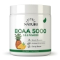 БЦАА NATURI BCAA Powder 200 гр