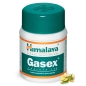 БАД Himalaya Gasex 100 таблеток