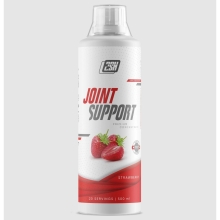 Хондропротектор 2SN Joint Support Concentrate 500 мл