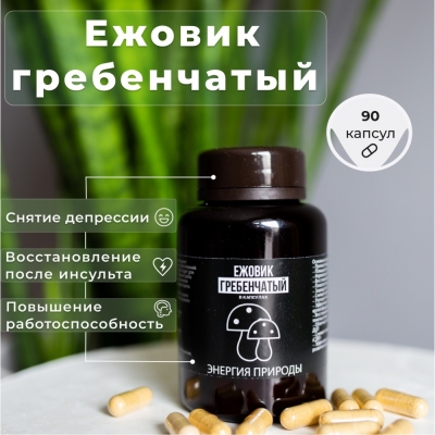 Специальный препарат Энергия природы Ежовик гребенчатый 90 капсул